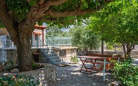 Tranquil Stone Garden House